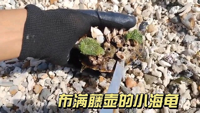 给我把它狠狠的扣下来