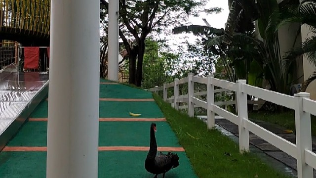 逛儿童乐园的大宝宝