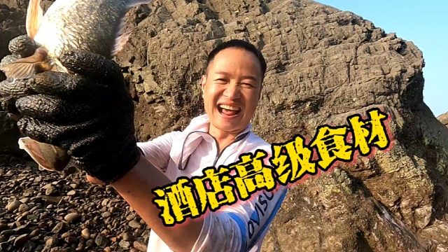 闷热天气坑里都是鲜美大货，赶海老伯连连称奇这是高档酒店食材