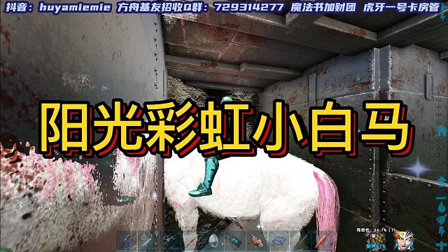 【咩咩】阳光彩虹小白马