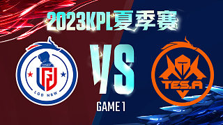 杭州LGD.NBW vs 长沙TES.A-1  KPL夏季赛