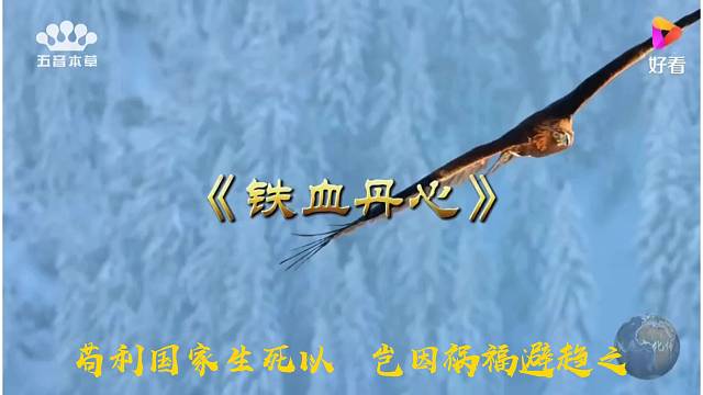 复利时代的来临