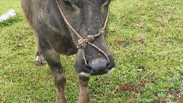 我发布了一个新视频，快来围观吧！