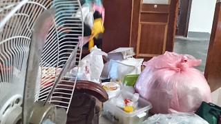 我的媽媽