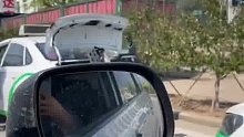 网友反映出租车司机将共享电动车拉到郊区扔掉
