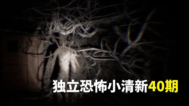 独恐40期《黑暗之根/根男》|一部怪核手爪饼一部怪异愣头青|