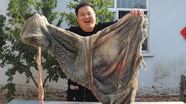 280元买一个大牛肚，天太热了做个“凉拌牛肚”，下酒喝真不错