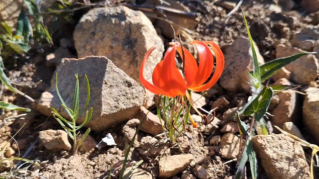 6月21号上山看风景