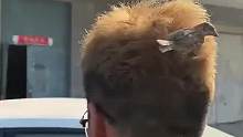 男子头发被当成鸟窝，小鸟久久不愿意离开，网友：老妈说你头发乱的像个鸟窝 原来是真的