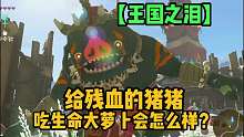 王国之泪-给残血的猪猪吃生命大萝卜会怎么样？