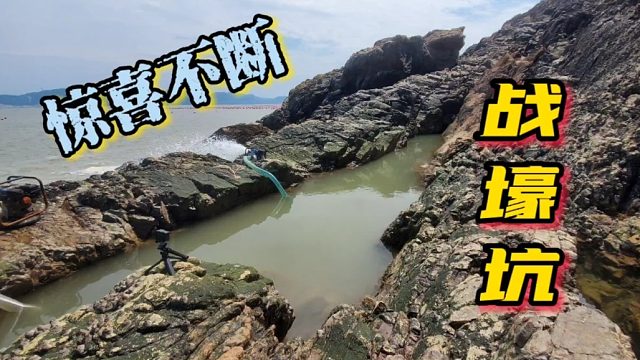 一年多没抽的战壕坑被成群生猛海鲜霸占，小明抓得直呼过瘾