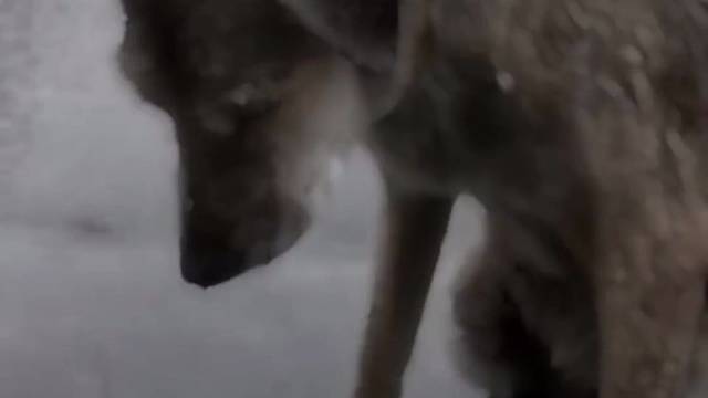 也担心失去我么