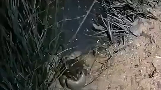 我谁都不看，也谁都看，开心我就送点，不用扒拉我，因为一般你越要我越不想给。作业你写，批不批是我的事情