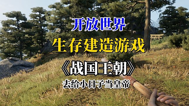 开放世界生存建造游戏《战国王朝》去给小日子做皇帝