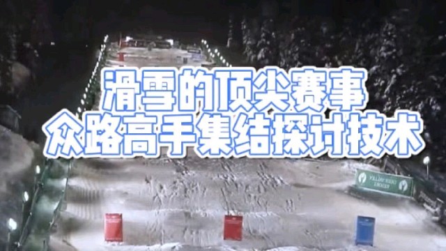 滑雪的顶尖赛事
众路高手集结探讨技术