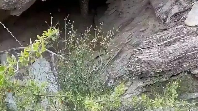 捅一下子没事吧