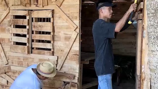海岛冒险60天：第一天我们搭建了一个豪华庇护所，尝试赶海烹饪美味海鲜