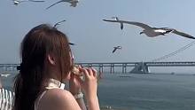 用嘴叼面包喂海鸥……