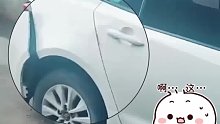 发现保险杠裂开了，肇事者竟然是……狗？！
