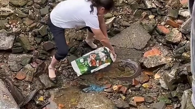 这鱼还挺聪明的！