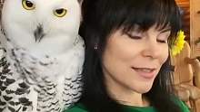 饲养员小姐姐的小猫头鹰一碰就笑，还接受了全方位的改造