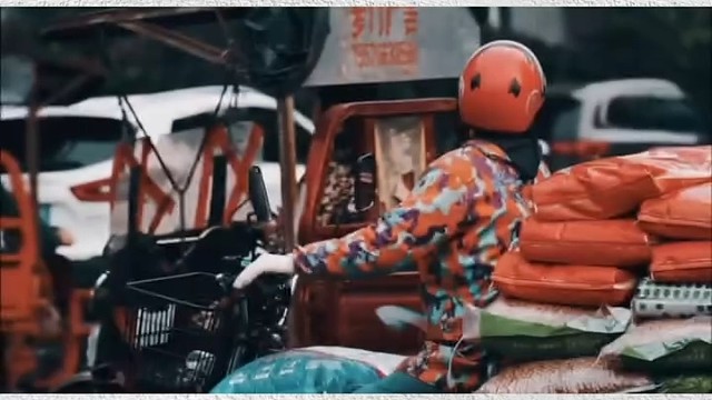 逐个学习新的领域