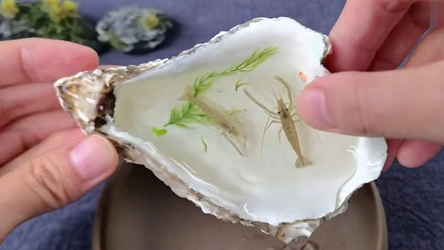 第一次尝试画一对3D立体虾