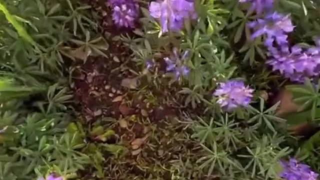 夏天的主旋律当然是去看山看水