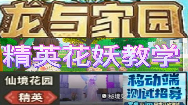 [银色]龙与家园精英花妖教学（2023.04.23）