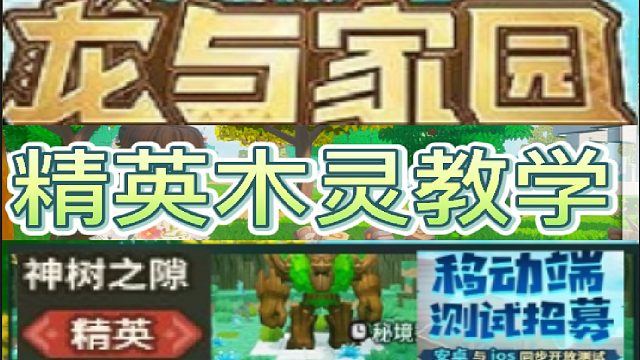[银色]龙与家园精英木灵教学（2023.04.23）
