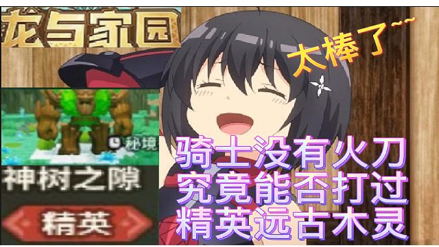 龙与家园：骑士VS精英木灵（2023.06.24.直播）