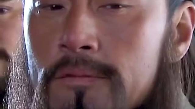 三国演义的分工有没有不同不同的看法？