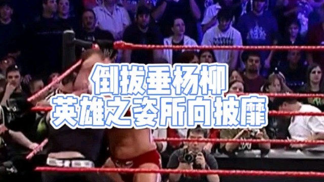 倒拔垂杨柳
英雄之姿所向披靡