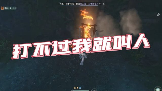 【Whale丶轻雾】打不过我就叫人