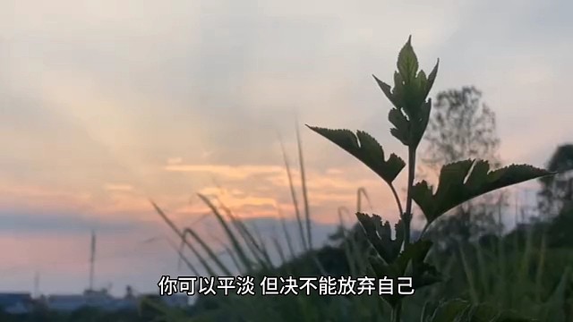 有哪些是你创业路上最想放弃的瞬间但是又坚持了下来