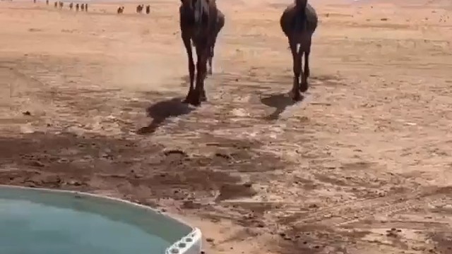 好好享受一下吧！！