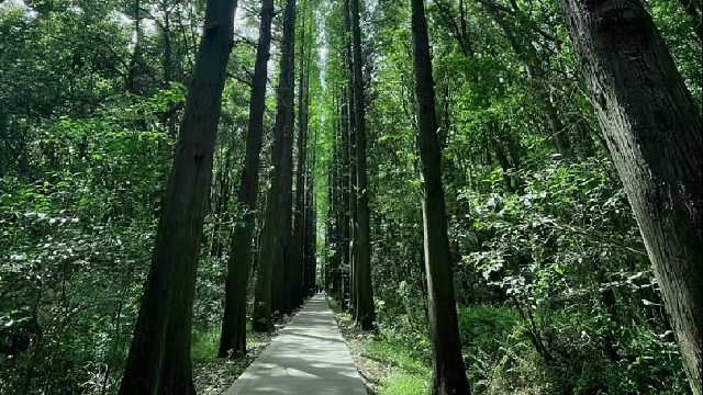 谁没看这个电影