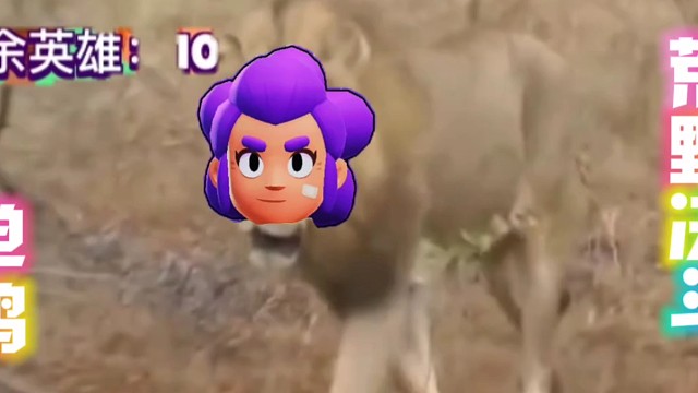 单鸡组队，反水，当老六！