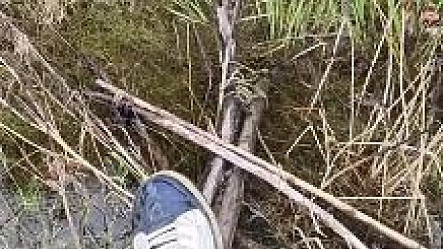 这明显不是炫耀鞋的