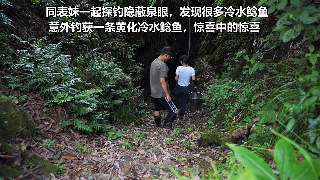 探钓隐蔽阴森泉眼，里面全是200一斤好货，还意外钓获一条黄化个体冷水鲶鱼