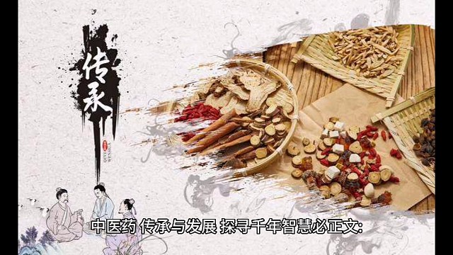 文化发展与传承智慧