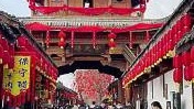 带狗狗去旅游我们自己成了景点