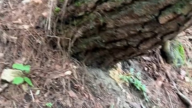 下一步该咋办，在线等。急！急！急！