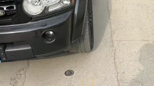 上班也没法上了，先照顾螳螂生孩子