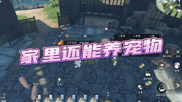 【JQK丶揽月】家里还能养宠物