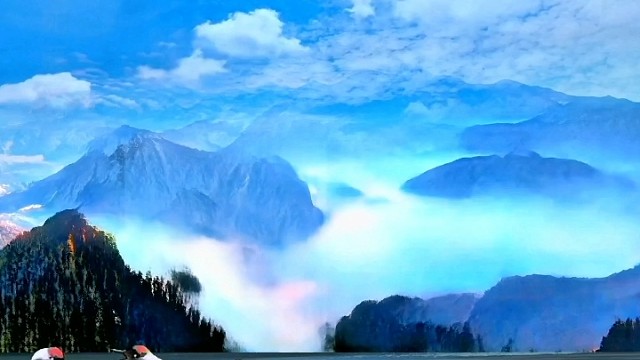 千年后仙鹤相会