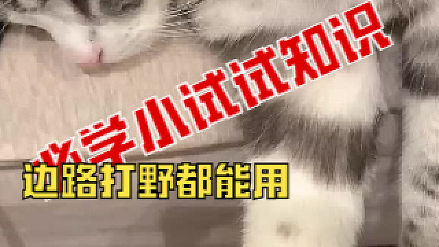 摆8888烂猫33
