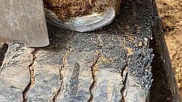 这样不会痛吗？