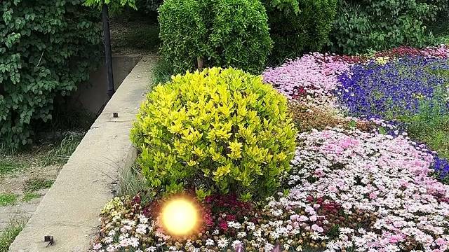 comeanddance#孙洋洋#身心健康#心想事成