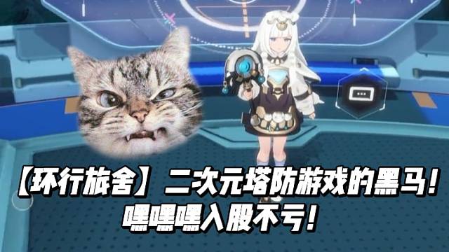 【环行旅舍】二次元塔防游戏的黑马！嘿嘿嘿入股不亏！